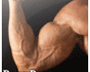  Muscle Resize120%