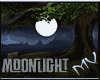 (MV) 🌛 Moonlight