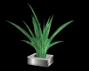 Potted Plant/Silver base