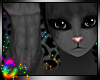 C; Tabby Fur M