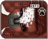 [Pets] Makybe | hair v8