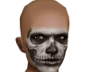 DS6 - FACE M SKELET
