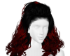 SA: Shuler Blood