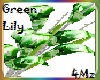 4M'z Green Lily Flower