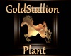 [BD]GoldStallionPlant