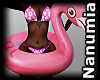 PINK FLAMINGO