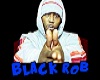BLACK ROB PARTICLES