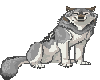 gray Wolf sticker