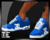[TE]Blue DC Shoes