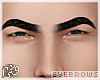 G`Octobrows-Req