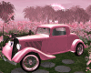 Spring Fiel Car Pink