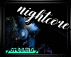 Nightcore Echo