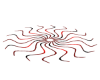 SPIRAL DISC CLUB