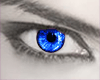 Blue Eyes M