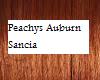 Peachy's auburn sancia