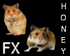 *h* Syrian Hamster FX