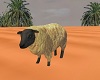 Sheep Liwa