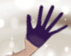 (ZLR) Violets Gloves 