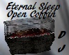 DJ- Eternal Sleep Coffin