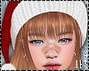 Santa Christmas Ginger