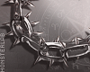 ² Barbed Necklace