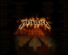 (SMR) Metallica Pic13