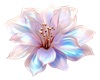 Flower Decal Rug or Wall