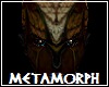 Metamorph Skin