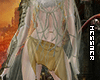 ℳ. Celestia Cape