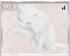 Cat White Animated