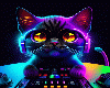 light Dj cat