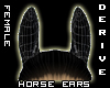 Horse Ears Female