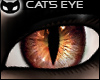 [SIN] Cat's Eye - Brown