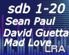 L* Sean Paul-Mad love
