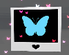butterfly polaroid V3