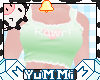 Dino Rawr Top