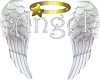 angel wings for avi pic