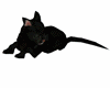 Black Cuddle Cat FURN