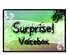 {AA}Surprise! Voicebox