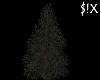 Bare Christmas Tree