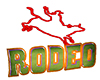 :) Rodeo Sign Animated