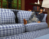 Comfy Couch w/poses 4