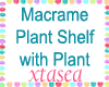 Macrame Shelf n Plant