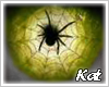 Kat l Sun spider