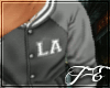 [TE] Gray LA Jacket