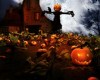 Jack-O-Lantern Halloween