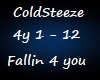 DS ColdSteeze - Fallin