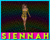Rainbow Dot Background