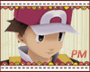 [PM]Pokemontrainer