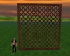 Lattice Dark Wood